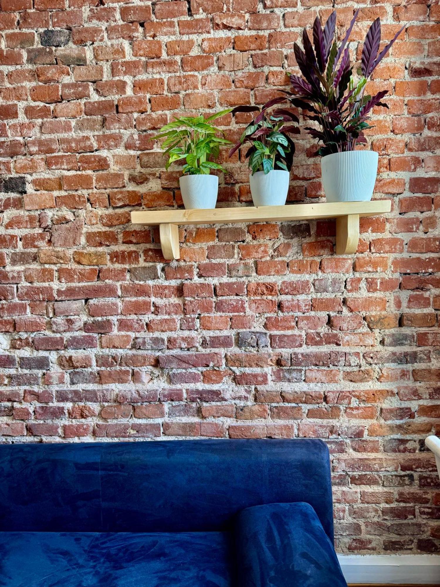 Appartement Bohemian In Center Of Kazimierz District